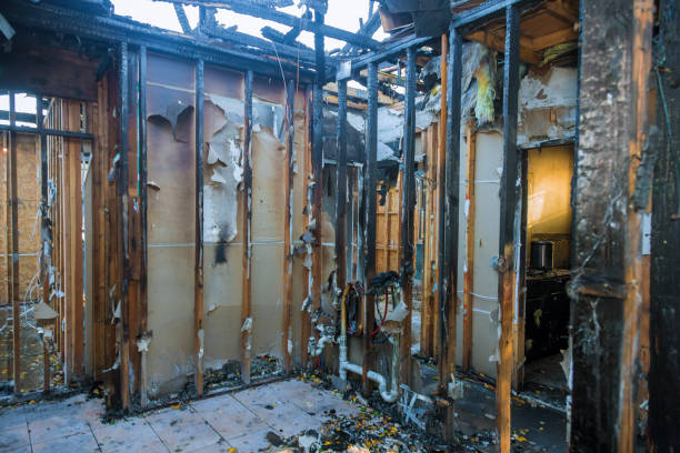 Professional Fire Damage Assessment technician working in Lakeland, MN