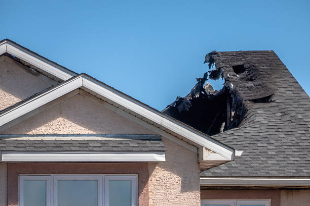 Top rated local Fire Damage Assessment specialists in Lakeland, MN